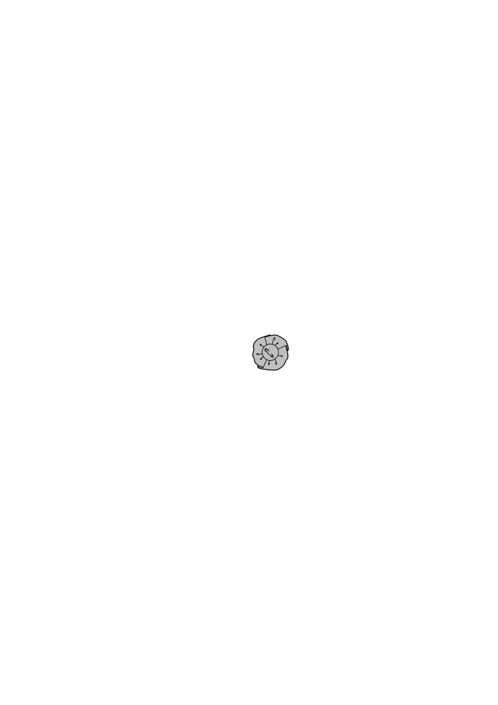 5620_M_B_Blume_r.jpg