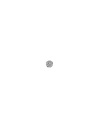 5620_M_B_Blume_r.jpg